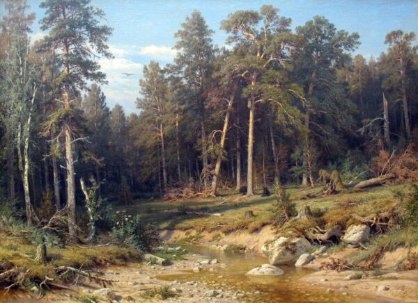 A Forest of Pines. Forest of Masts in the Viatka Province - Ivan Shishkin