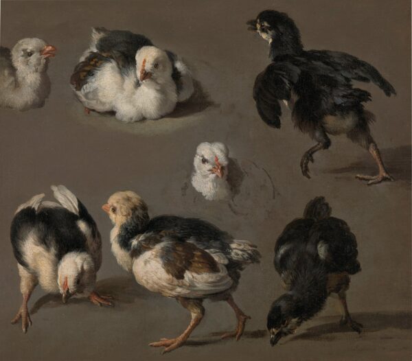 Seven chicks - Melchior d'Hondecoeter