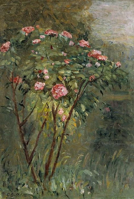 The Rosebush - Caillebotte