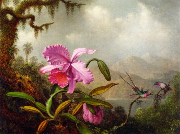 Orchids and Hummingbirds - Martin Johnson Heade