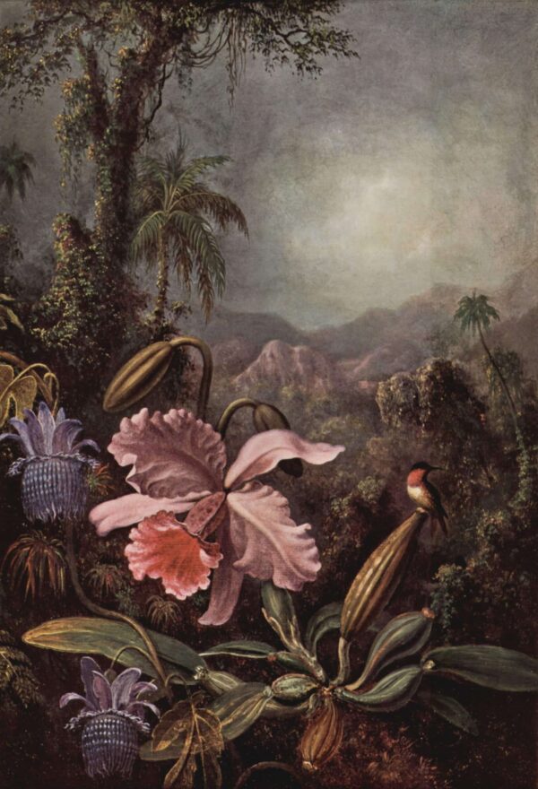 Orchid, Passionflower, and Hummingbird - Martin Johnson Heade