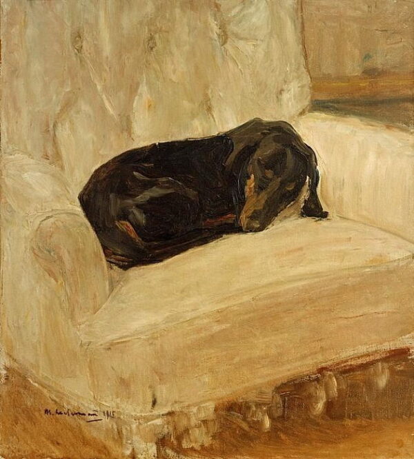 Dachshund Asleep in a Chair - Max Liebermann