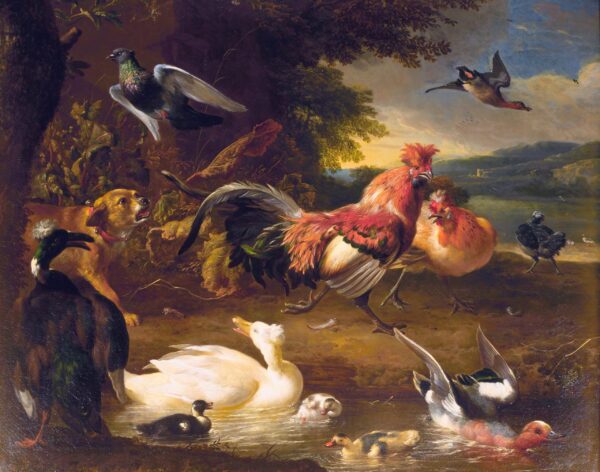 Chickens and Ducks - Melchior d'Hondecoeter