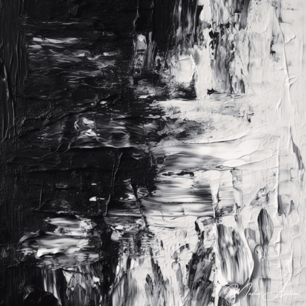 Contemporary abstract black and white wild painting