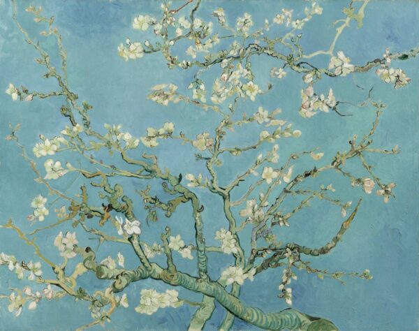 The Almond Blossoms - Van Gogh