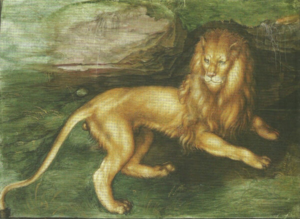 Lion - Albrecht Dürer Oil Painting Reproduction: High-Quality Artwork for Sale