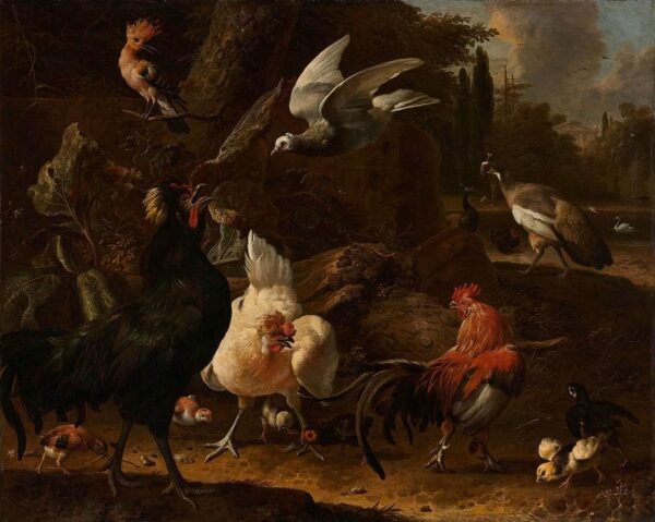 Birds in a Park - Melchior d'Hondecoeter