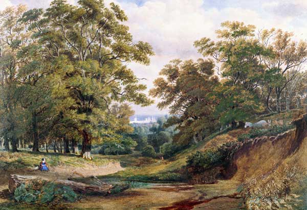 A Scene in the Bagley Wood near Oxford - William Turner