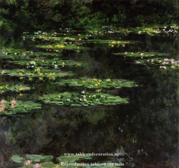 Black Water Lilies - Monet painting