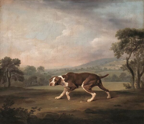 Spanish Pointer - George Stubbs