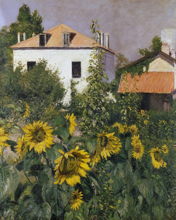 Sunflowers in the Garden at Petit Gennevilliers - Caillebotte