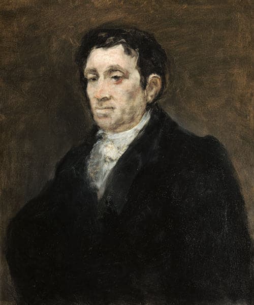 Portrait of José Pío de Molina - Francisco de Goya