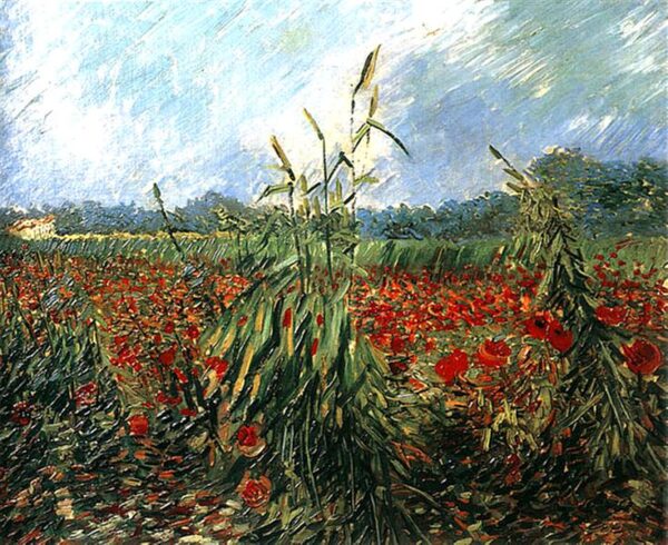 Green Wheat Fields, Auvers by Vincent van Gogh