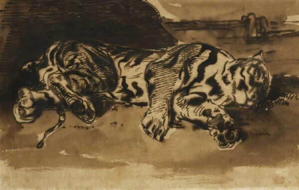 Tiger Resting - Eugène Delacroix