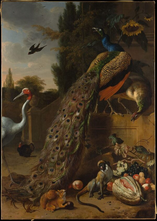 Peacocks, 1683 - Melchior d'Hondecoeter