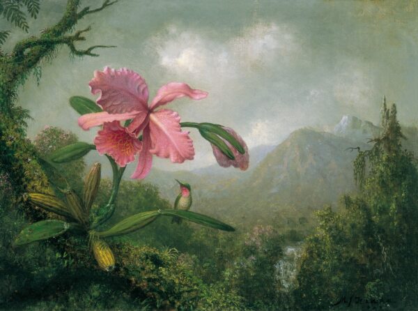 Orchid and hummingbird near a mountain waterfall - Martin Johnson Heade