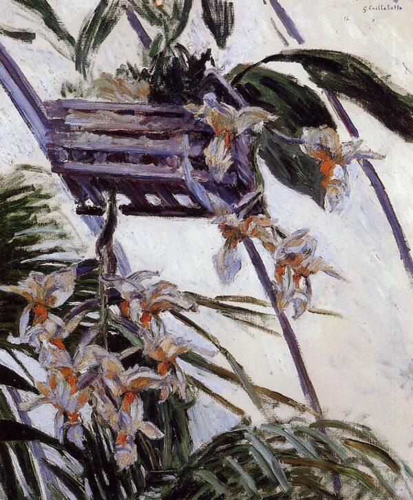 Orchids - Caillebotte