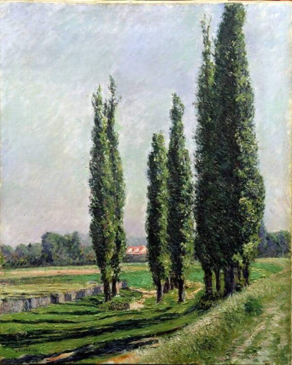 Poplars on the Banks of the River at Argenteuil - Caillebotte