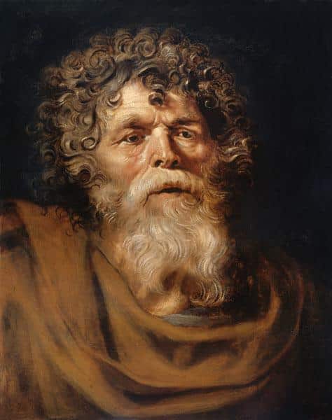 Head of an Old Man - Peter Paul Rubens