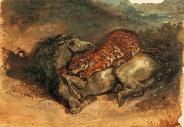 Tiger attacking a horse - Eugène Delacroix