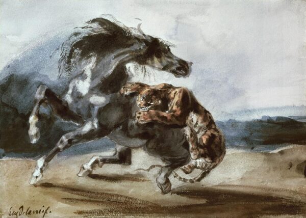 Tiger Attacking a Wild Horse - Eugène Delacroix