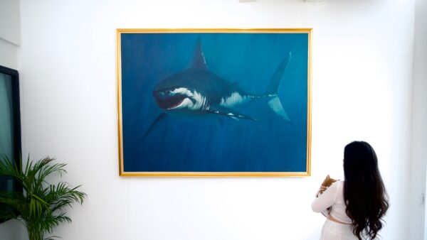 Shark – Somchai - 150 x 200 cm - Image 3