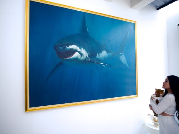 Shark – Somchai - 150 x 200 cm - Image 8