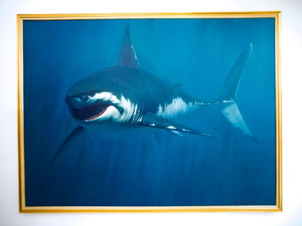 Shark – Somchai - 150 x 200 cm - Image 11