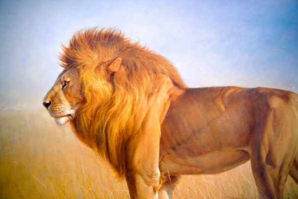 Lion in the Savannah – Somchai - 180 x 130 cm - Image 7