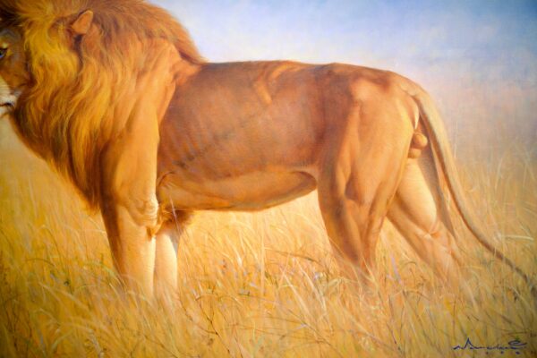 Lion in the Savannah – Somchai - 180 x 130 cm - Image 6