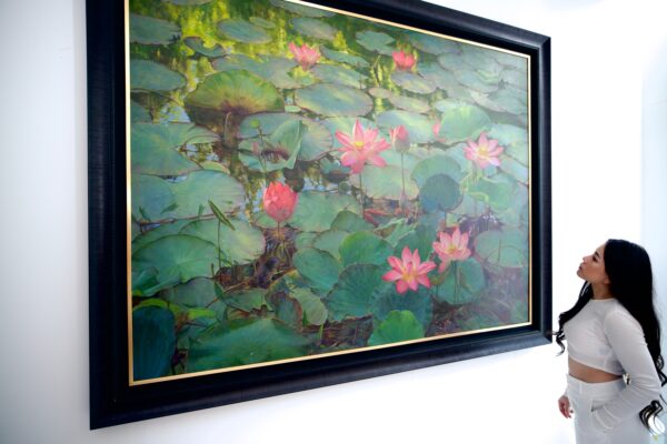 Water Lilies – Somchai - 200 x 150 cm - Image 9