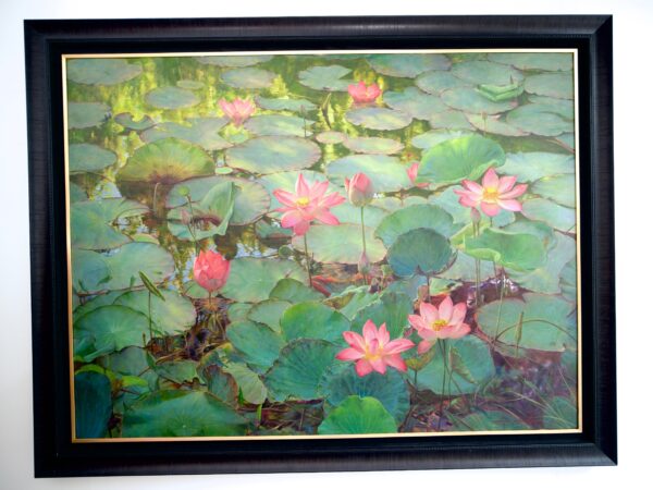 Water Lilies – Somchai - 200 x 150 cm - Image 12