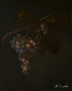 Une grappe de raisin - Tobias Stranover - Reproductions de tableaux et peintures haut de gamme