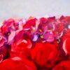 Bouquet of Roses | 100 x 130 cm - Image 9