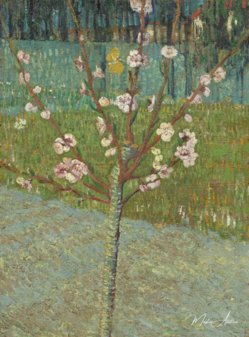 Amandier en fleur - Van Gogh - Reproductions de tableaux et peintures haut de gamme