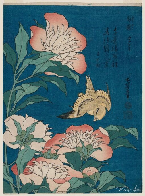 hokusai pivoines et canari (shakuyaku, kanaari), d'une série sans titre connue sous le nom de petites fleurs - Katsushika Hokusai - Reproductions de tableaux et peintures haut de gamme