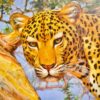 Léopard dans un arbre | 150 x 100 cm Reproductions de tableaux à la peinture à l’huile