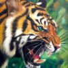 Tiger with Green Eyes - Ketwalin | 50 x 70 cm Reproductions de tableaux à la peinture à l’huile