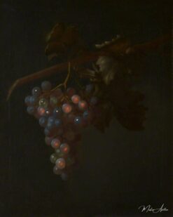 Une grappe de raisin - Tobias Stranover - Reproductions de tableaux et peintures haut de gamme